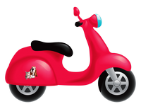 a moped